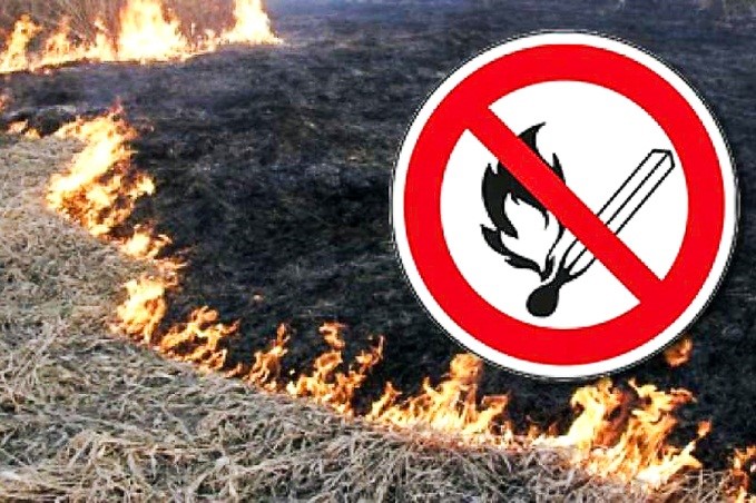 Выжигание сухой растительности запрещено!